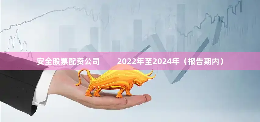 安全股票配资公司        2022年至2024年（报告期内）